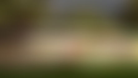 Club Statement - TTFC Executive Committee