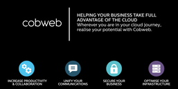 Cobweb Value Proposition.png