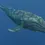Thumbnail: WE 14. Gray Whale