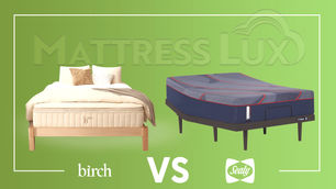 Birch vs Sealy Mattress