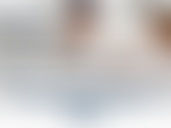 Building the Mattress Omni-channel: Pricing Model