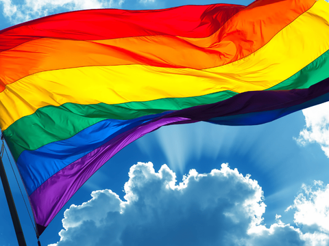 School Pride and Prejudice – How You Can Help