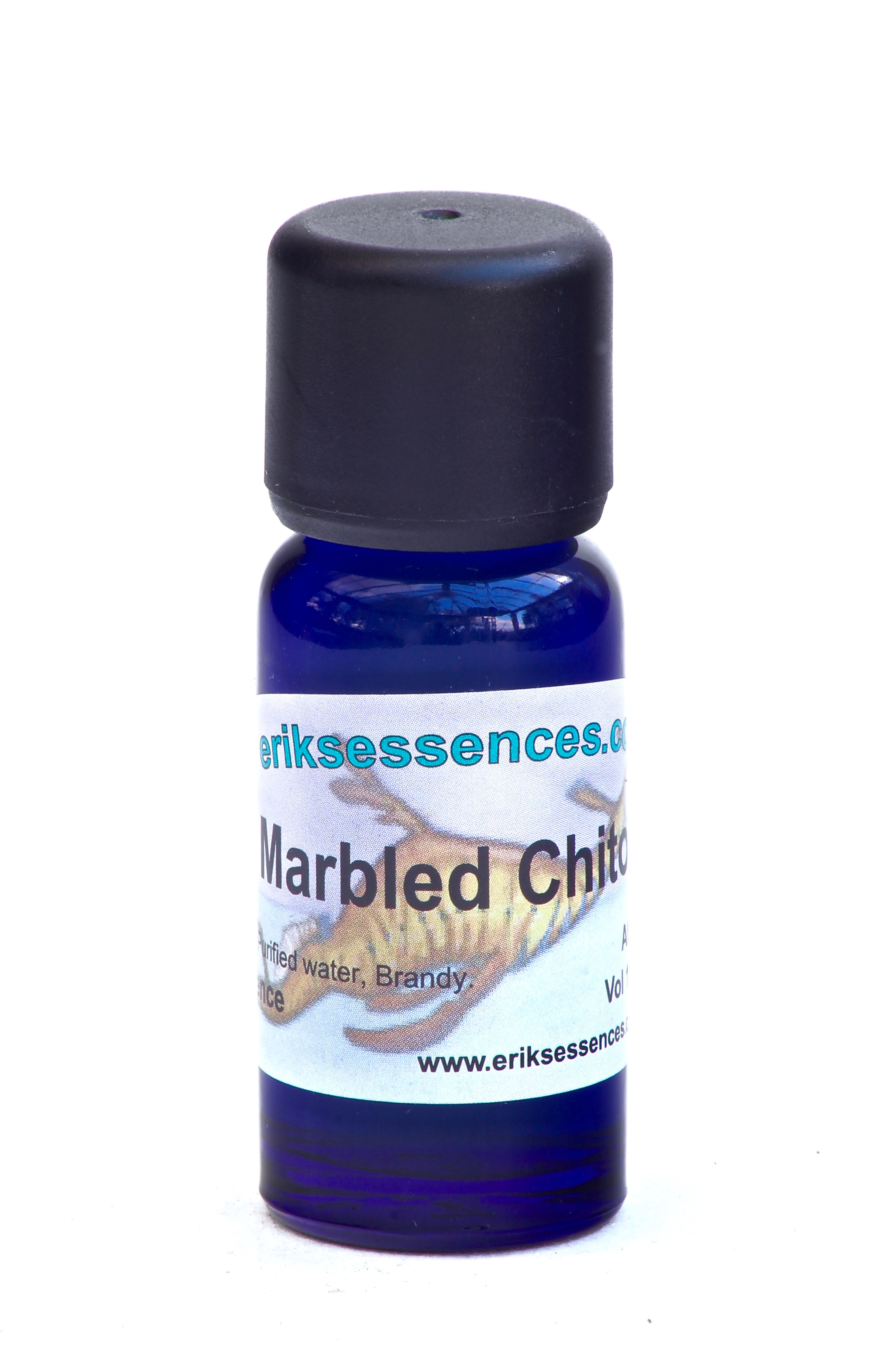 SE 42. Marbled Chiton