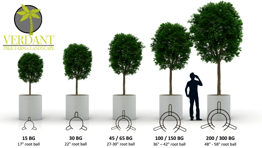 Large landscape material