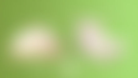 Birch vs Naturepedic Mattress