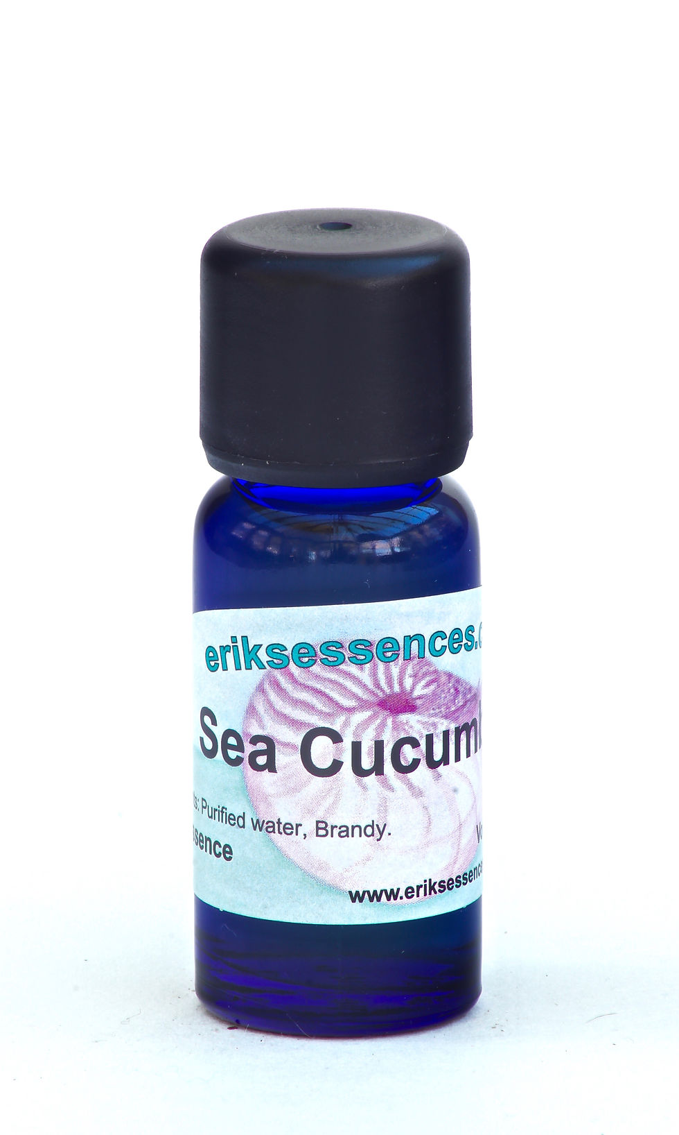 SE 05. Sea Cucumber