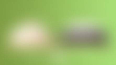 Birch vs Helix Mattress