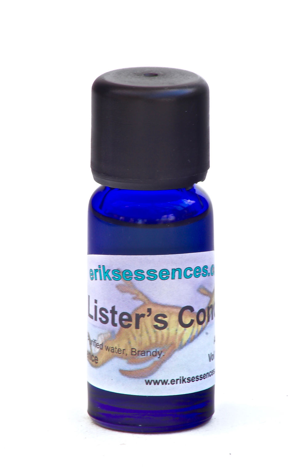 SE 41. Lister’s Conch