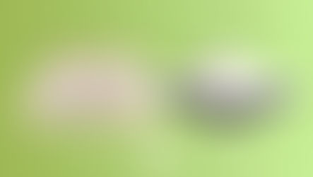 Avocado vs Diamond Mattress