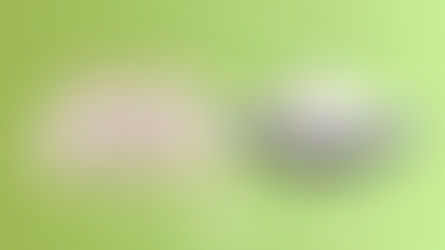 Avocado vs Diamond Mattress