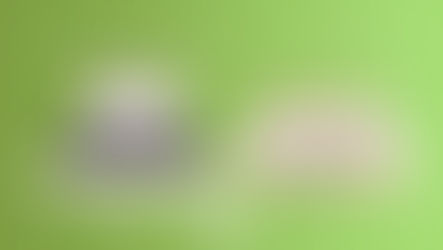 Heritage Sleep vs Avocado Mattress