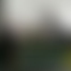 新歓活動【FALCONSの日常】