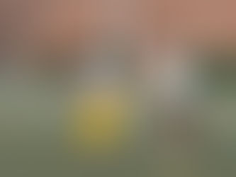 星野月哉【2026新入生抱負】