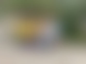 Girl Scouts love STEM