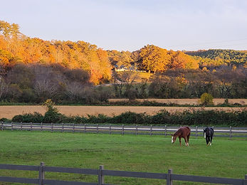 20211106_181923.jpg