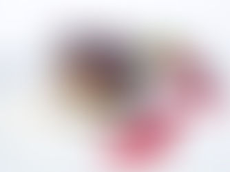 The Perfect Valentine’s Gourmet Dinner: Pairings of Wine and Chocolate