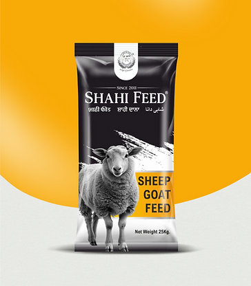 shahi sheep goat feed_edited.png