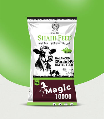 shahi 10000 magic_edited.jpg