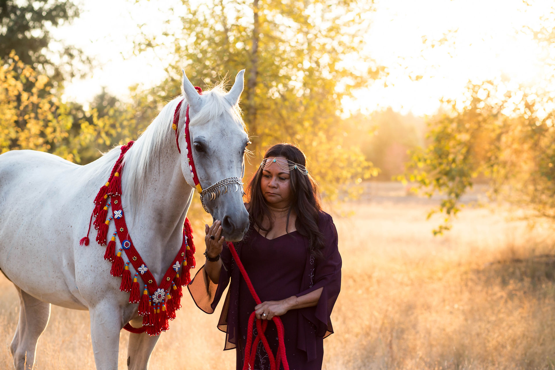 Arabian horse photo session in Olympia, Washington. Photos by A Bit O' Whimsy photography