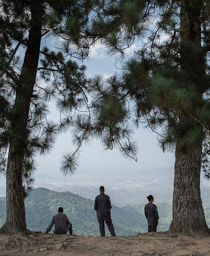 The founders of Selva Gin beneath the trees in Minca, Colombia