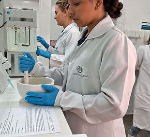 WhatsApp Image 2024-11-05 at 14.40.16 (2).jpeg