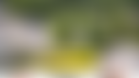 Arby's Coming to Winchester