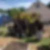 cr=w 730h 730d.webp