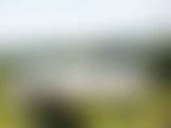 Best month for a wedding marquee | Peacock & Bow hire guide