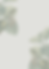 Decorative botanical leaf patterns on a neutral background.