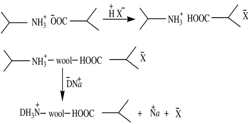 Diagram showing amine end group distribution comparison between Nylon 6, Nylon 6.6 and wool fibres and its effect on acid dye strike rate