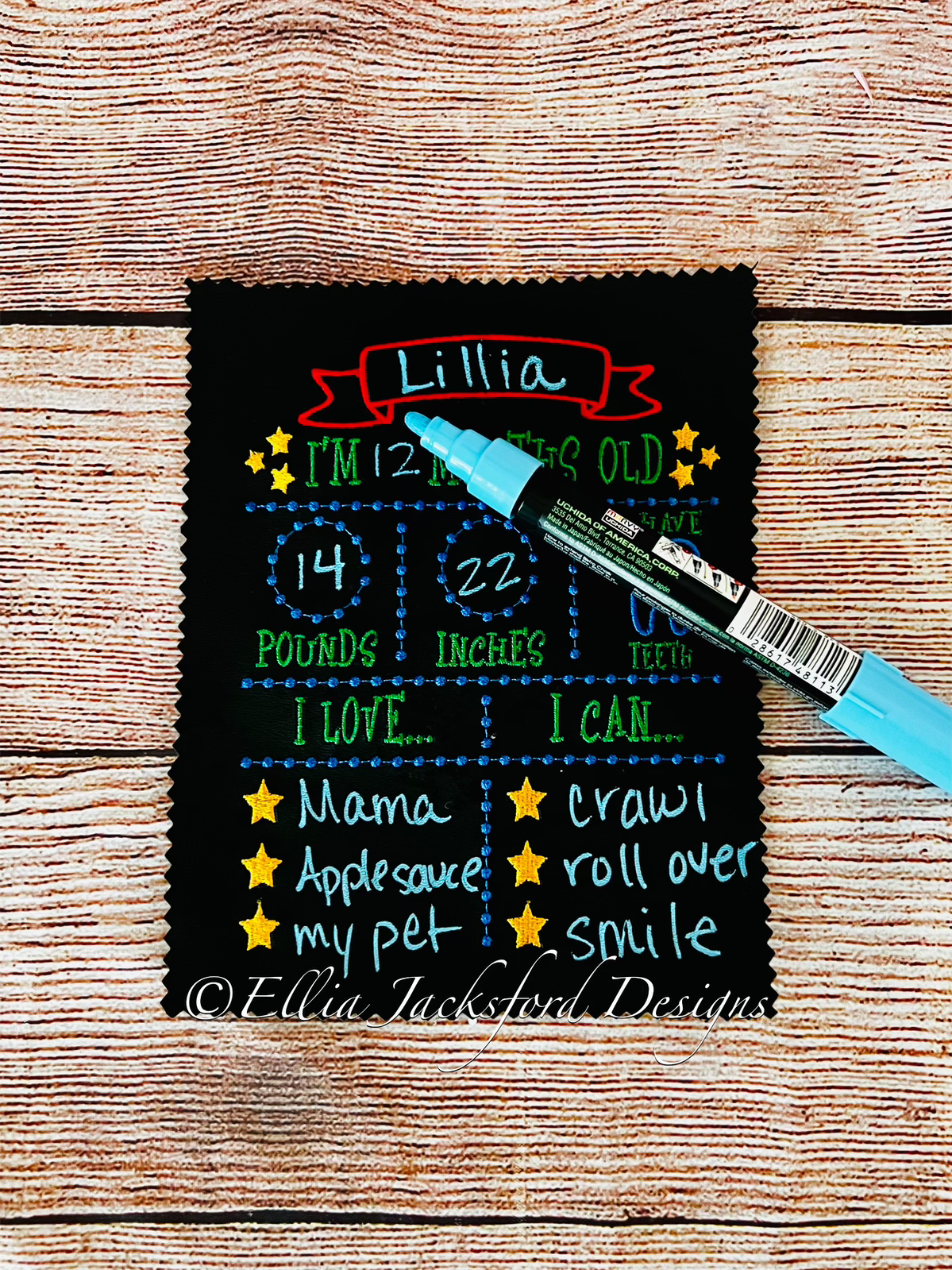 Baby Monthly Calendar Embroidery Design 2 SIZES