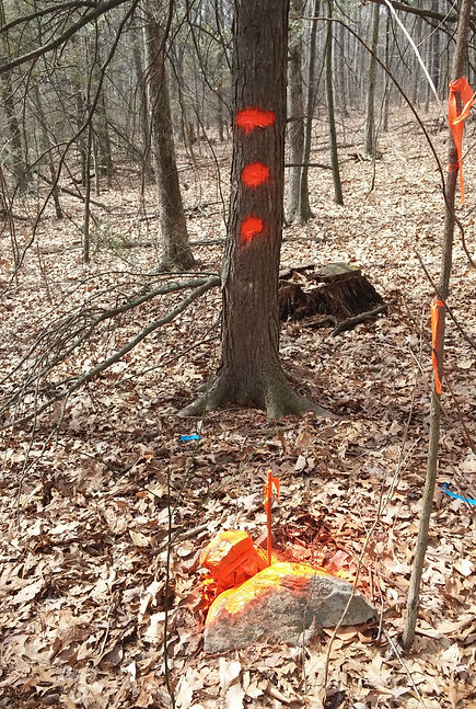 Keefer and Associates Land Surveying,Land Surveyor in Central PA,Professional Land Surveyor, Licensed Land Surveyor,Land Surveyors in Sunbury PA, Sunbury,Danville,Northumberland County, GPS,FEMA Elevation Certificates, Property Surveys,Subdivisions,
