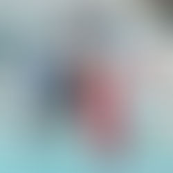 PO 2023 terug | Real - My-Cars 9-1