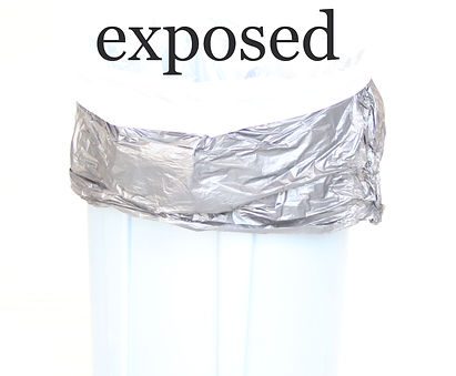 Scav-3_edited.jpg