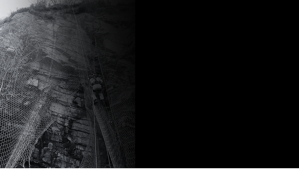 Untitled design (64).png
