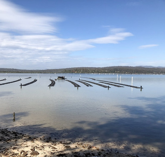 Oyster Farms