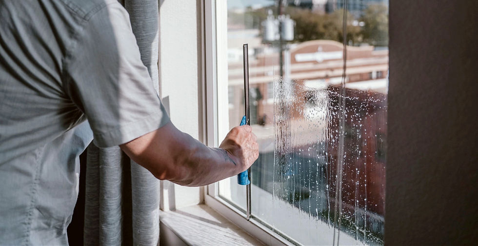 Expert Window Cleaning in Fort Worth: Restoring Clarity and Light to Your Home
