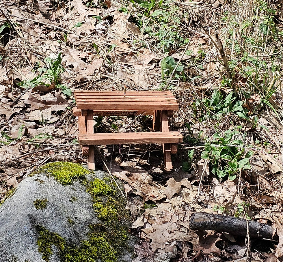 Thumbnail: Squirrel's Picnic