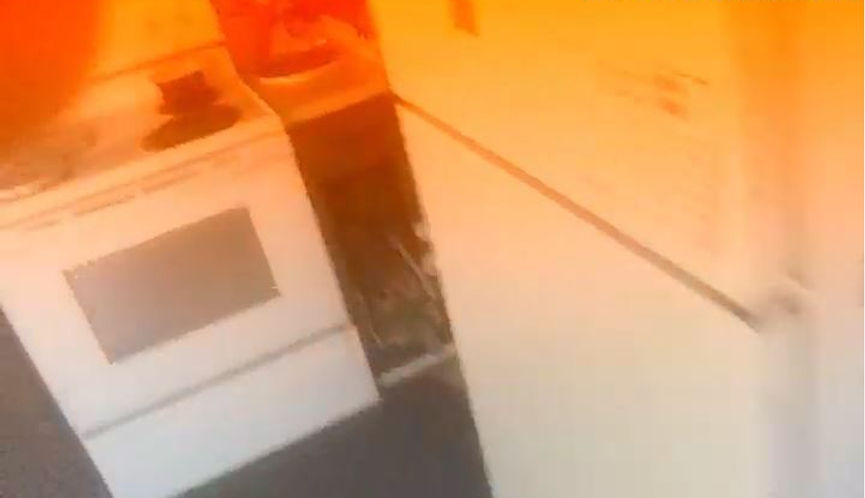 My Brain Does Not Compute