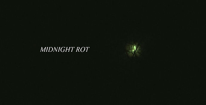 Midnight Rot