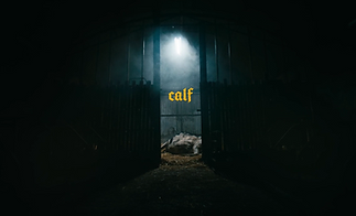 Calf