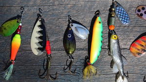 Eight-Year-Old Concludes Fishing Lures Are Scamming Fish