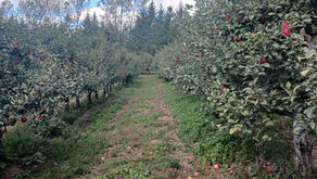 Singing Hills—A Model for Farmland Access Success + more!