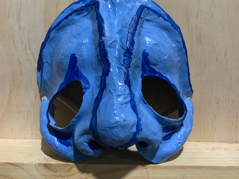 Mask anna.jpg