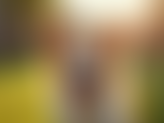 Capture Your Pet's Spirit: Expert Pet Photography Tips