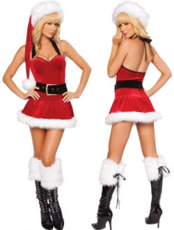 Ladies Sexy Santa Costume