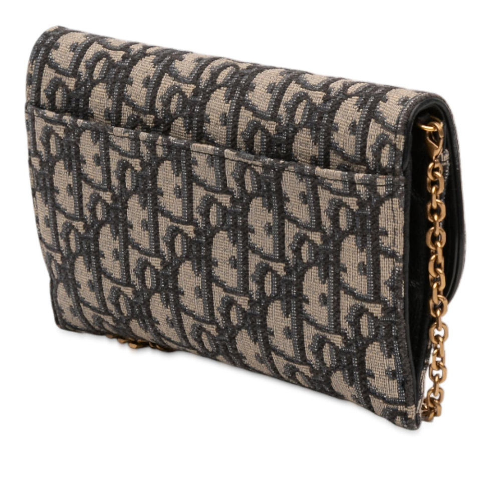 Miniatura: Saddle Wallet On Chain Oblique Canvas – DIOR