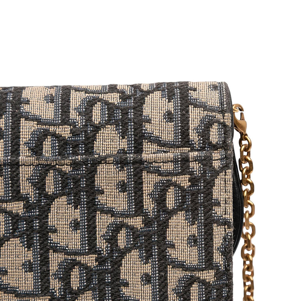 Miniatura: Saddle Wallet On Chain Oblique Canvas – DIOR