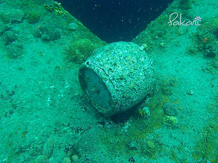 P4050077 copy-L.jpg