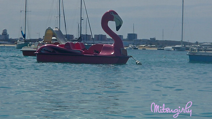 P4272593 copy.jpg